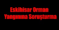 Eskihisar Orman Yangınına Soruşturma