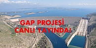 GAP Projesi canlı yayında!