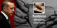 Gebze'de Fuat Avni operasyonu!