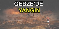 Gebze'de Samanlık Yangını