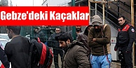 Gebze'deki Kaçaklar !