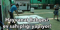 Hayvanat Bahçesi ev sahipliği yapıyor!