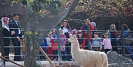 Hayvanat bahçesinde öğrenci yoğunluğu