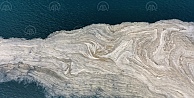 İzmit Körfezi'nde deniz salyası beyaz tabaka oluşturdu