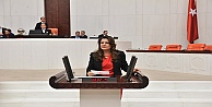 İzmit'teki Sinek Salgını Mecliste