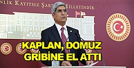 Kaplan, Domuz Gribine el attı