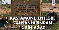 Kastamonu Entegre Çalışanlarından 12 Bin Ağaç