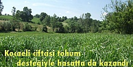 Kocaeli çiftçisi tohum desteğiyle hasatta da kazandı