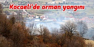 Kocaeli'de orman yangını