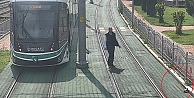 Kocaeli'de rayların kenarındaki kaplumbağanın yardımına tramvayı durduran vatman koştu