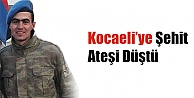 Kocaeli'ye şehit ateşi düştü