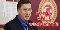 Köyler Meclis gündeminde!