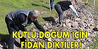 Kutlu Doğum için fidan diktiler!