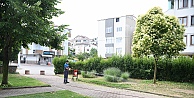 Mesire Alanları Ve Parklar İlaçlanıyor