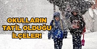 Okulların tatil olduğu ilçeler!