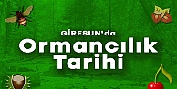 Ormancılık Tarihimizin Bilinmeyenleri