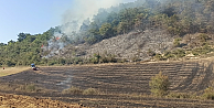 Ormanlık Alanda Yangına Neden Olan Kişi Hakkında Adli İşlem Yapıldı