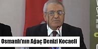 Osmanlı'nın ağaç denizi Kocaeli