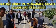 Rahmi Dibek ve Muammer  Aksoy Caddeleri Yeşillendi