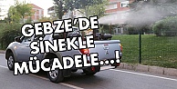 Sineklerle yoğun mücadele!