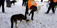 Soğuktaki hayvanları unutmadılar
