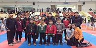 Tatamili Karateciler Hendek'te 9 madalya kazandı!