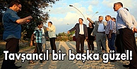 Tavşancıl bir başka güzel!