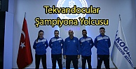 Tekvandocular Şampiyona Yolcusu