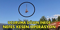 Uçuruma düşen ineğe nefes kesen operasyon!