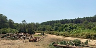 Uzunkum Yeniden Tabiat Parkı İlan Edilmeli