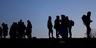 Yakalanan 117 kaçak göçmen sınır dışı edildi