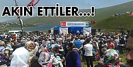 Yaylaya akın ettiler!