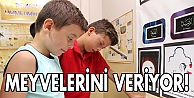 Yaz etkinlikleri meyvelerini veriyor
