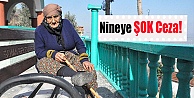 Nineye ŞOK CEZA!