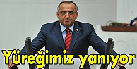 Yüreğimiz yanıyor