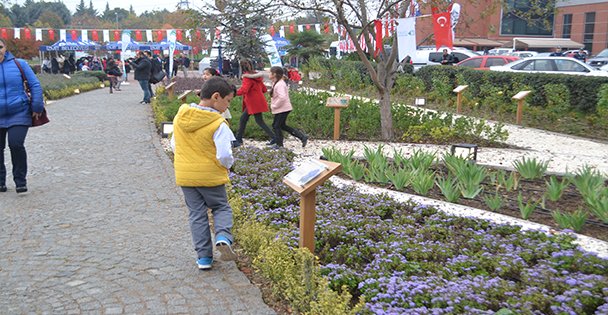 TIBBİ VE AROMATİK BİTKİLER BAHÇESİ AÇILDI