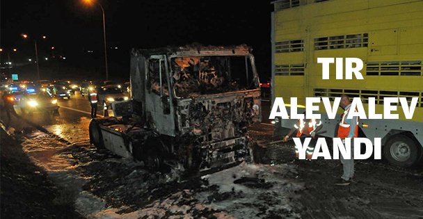 TIR ALEV ALEV YANDI