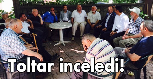 Toltar inceledi!