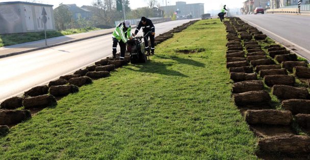 Tramvay çalışmasında sökülen ağaçlar doğaya nefes olacak;  Ağaçlar yeni yerlerinde hayat bulacak