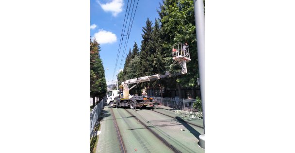 Tramvay Hattına Zarar Verebilecek Dallar Budandı