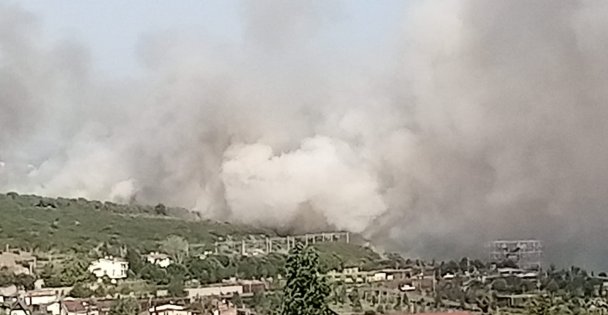 TÜBİTAK'ın ormanlık alanında yangın