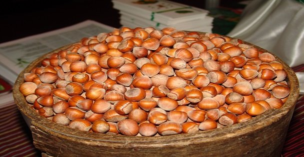 Türk Fındığı pazarı tehlikede