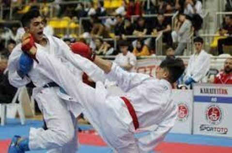 Türkiye Büyükler Karate Şampiyonası Kocaeli'de Düzenlenecek