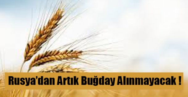 Türkiye Rus Buğdayını Yasakladı !