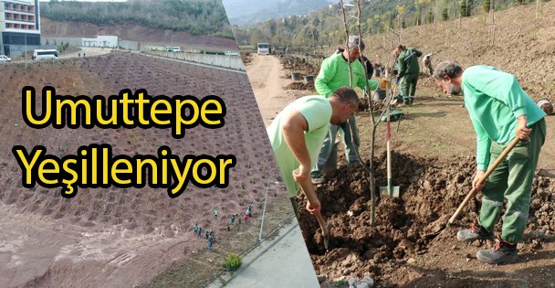 Umuttepe Yeşilleniyor