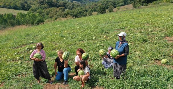 Üreticilere Karpuz Tohumu Desteği