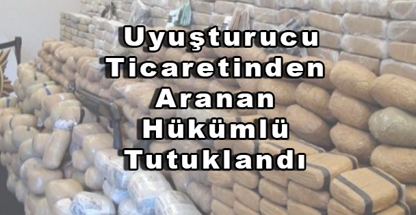 Uyuşturucu Ticaretinden Aranan Hükümlü Tutuklandı