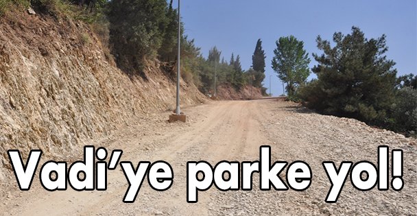 Vadi'ye parke yol!