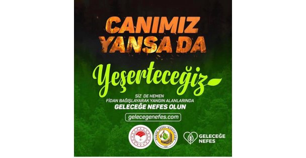 VATAN TOPRAK VE ORMAN