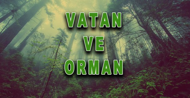 Vatan ve Orman